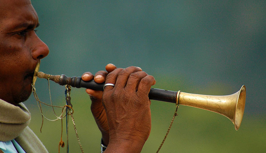 Shehnai Player in delhi